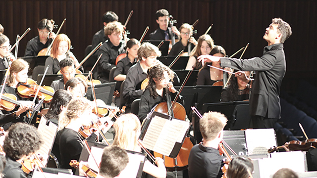 string section of an orchestra performing